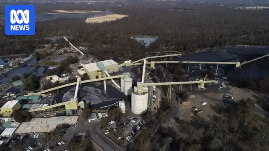 Billionaire Faces Criticism for Laying Off Hundreds of Mine Workers