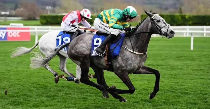 Cheltenham Weather flagged in live updates, but race-day specifics remain opaque