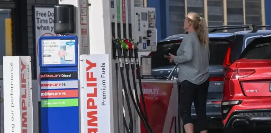 Nations to Release 400 Million Barrels, Urging Calm at the Pump