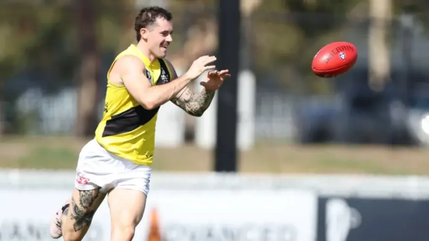 Carlton Fc live stream and squad rotation signal VFL practice trajectory