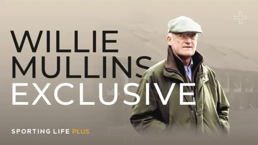 Bambino Fever Horse vs. Willie Mullins Runners: Betting panic or measured form test