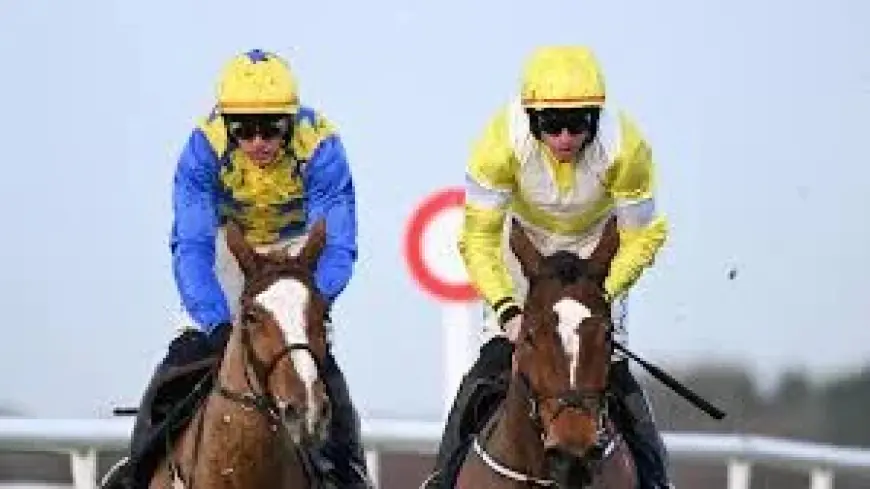 Bambino Fever lines up, raising Day Three stakes for Clare