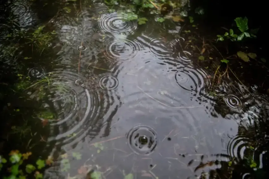 Atmospheric River to Drench Portland and Surrounding Areas with Heavy Rain