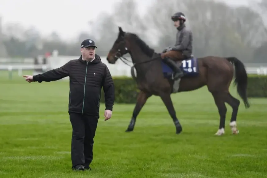 Gordon Elliott Arrives at Cheltenham With Strongest Team Since 2018