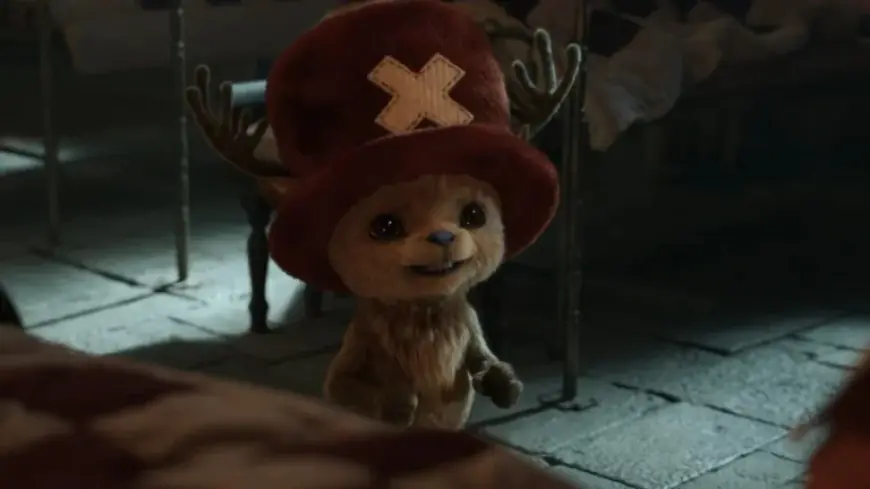 One Piece Season 2 Cast Spotlight Reveals Scope, Gaps After Long Break