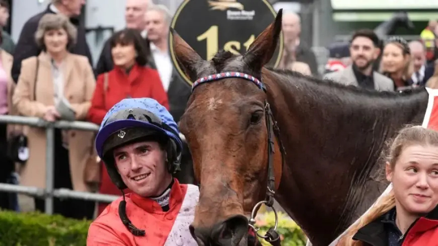 Henry De Bromhead vs Darragh O’Keeffe: Veteran Horses Versus Jockey Succession