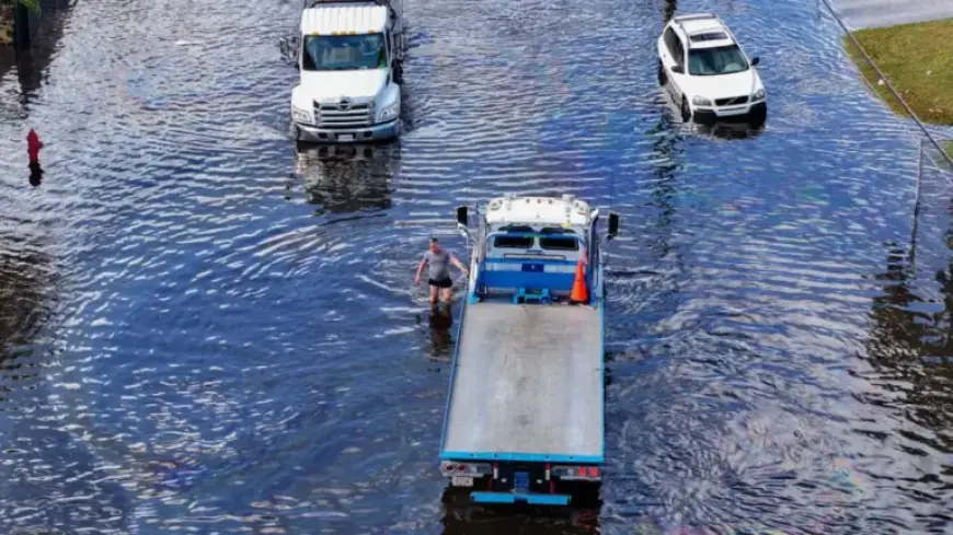 Impending Strong El Niño Weather Pattern Predicted by NPR