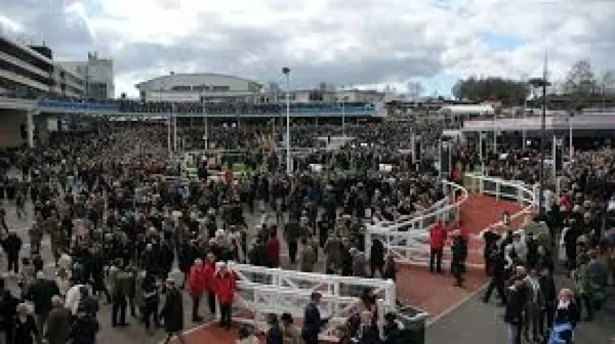 Meetmebythesea Delivers 4.40 Cheltenham Result for Ben Pauling and Ben Jones