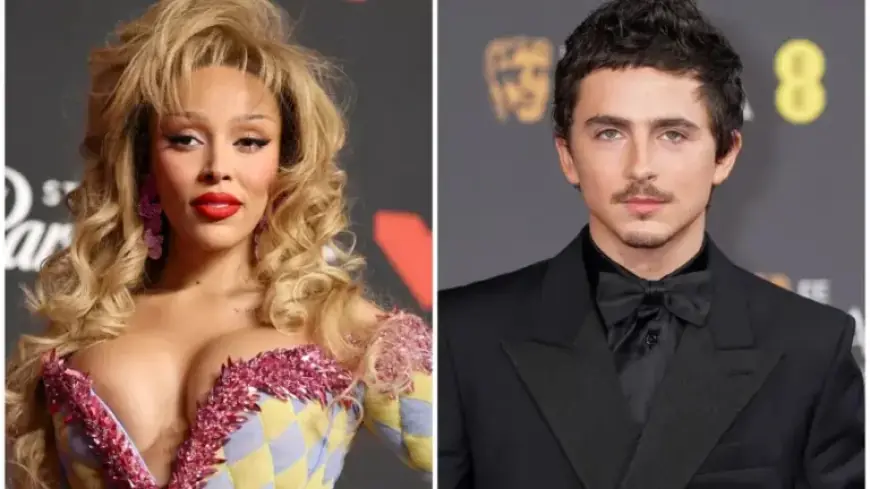 Doja Cat Retracts Timothée Chalamet Criticism on Ballet and Opera