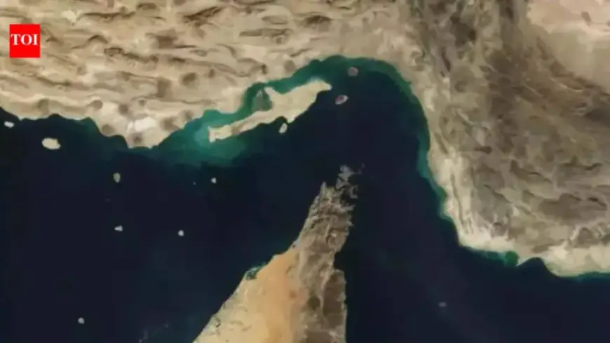 US Military Currently Unable to Escort Vessels in Strait of Hormuz
