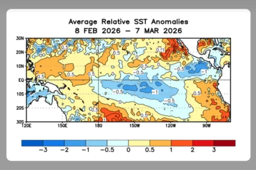 El Niño Return Signals Rapid Shift in Pacific Climate