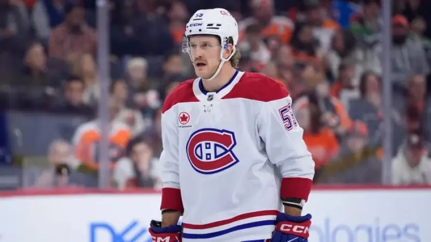 Pezzetta: Dream Signing vs. Marlies Grind — What the Recall Reveals