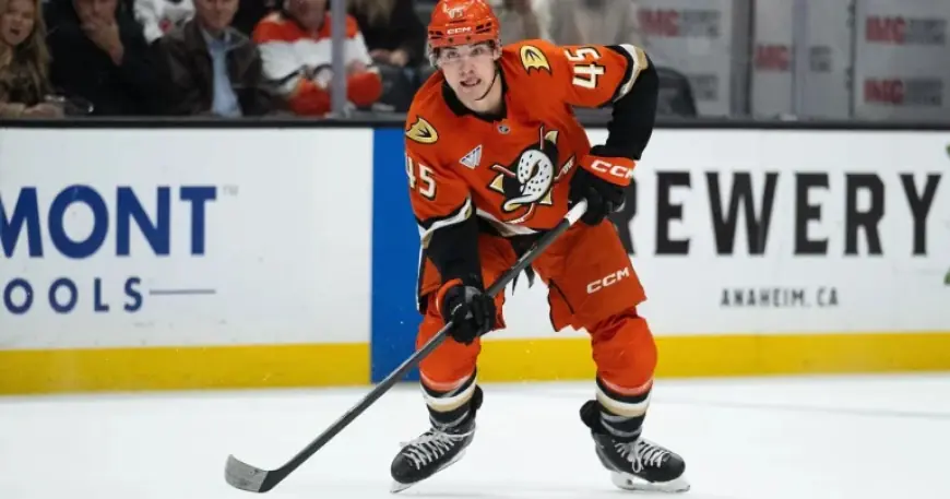 Beckett Sennecke Returns to Maple Leafs During Rookie Surge