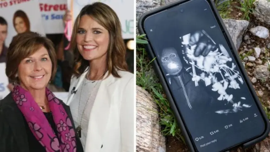 Nancy Guthrie Update Today: Day 41 Search Shifts as Cadaver Dogs Pulled, Task Force Zeroes In