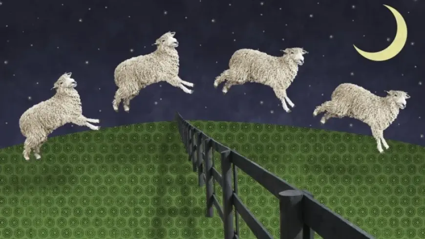 World Sleep Day: New Rules vs. Old Sleep Myths Show Practical Shifts