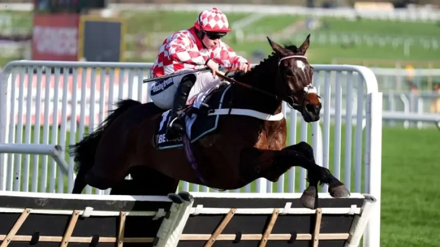 Jingko Blue Wins at Cheltenham Yet Tony Barney Horse Owner Keeps Quiet