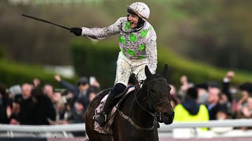 Cheltenham Gold Cup fans confront questions about Gold Cup Prize Money and data
