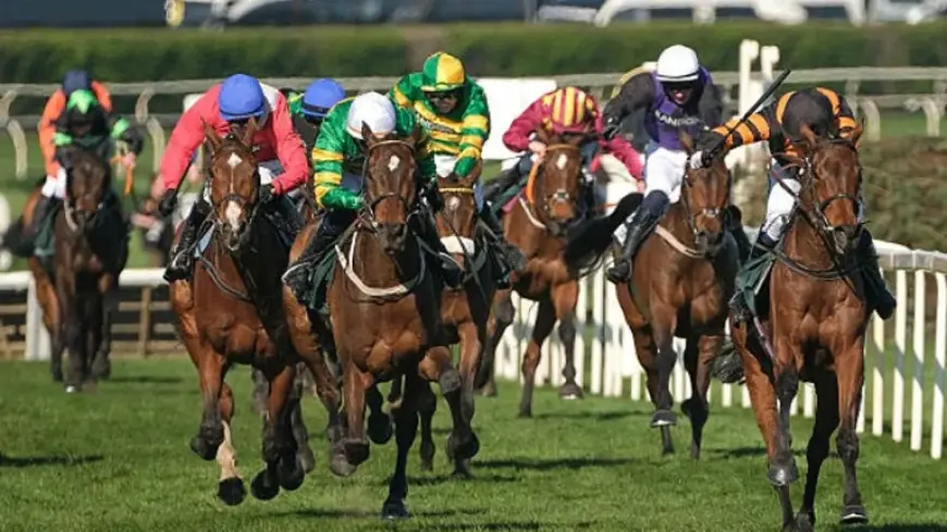 Grand National 2026 tickets on sale, fine print flags resale and extras