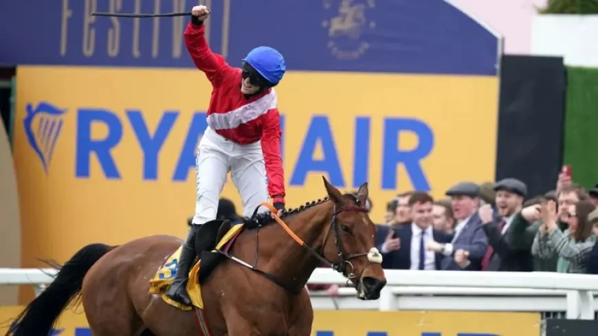 Envoi Allen Horse dies after Gold Cup; readiness claim meets unanswered gaps