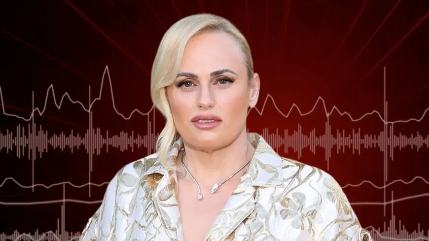Rebel Wilson vs. Amanda Ghost: leaked audio and court filings compared