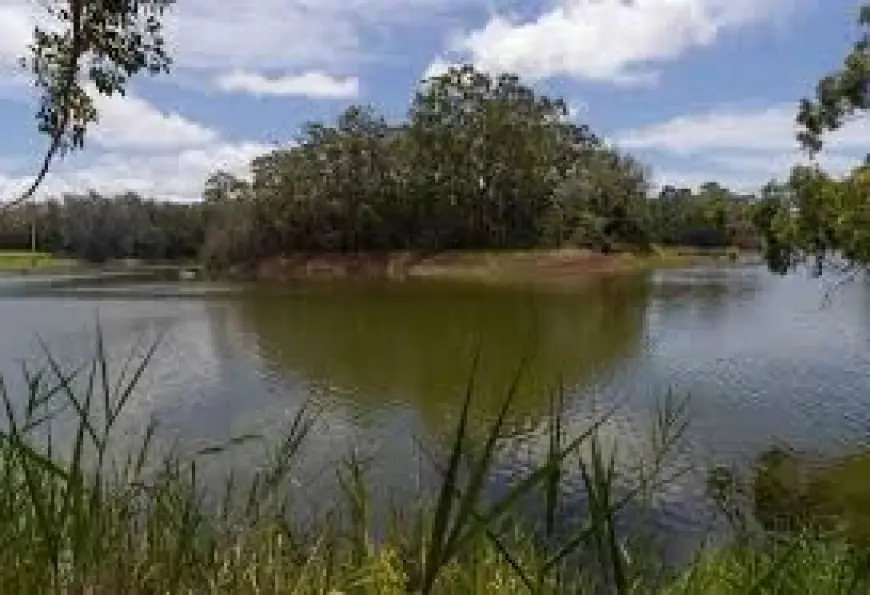 Wahiawa Dam on Oahu at Risk of Failure After Torrential Rain, Officials Urge Evacuation