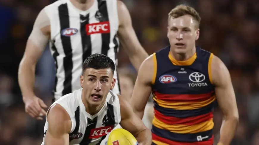 Watch Collingwood v Adelaide Live On Fox Footy As Crows Hunt Finals Revenge