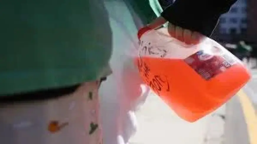 St Patrick’s Day Parade 2026 in South Boston Spurs Renewed Crackdown on BORGs and Public Drinking