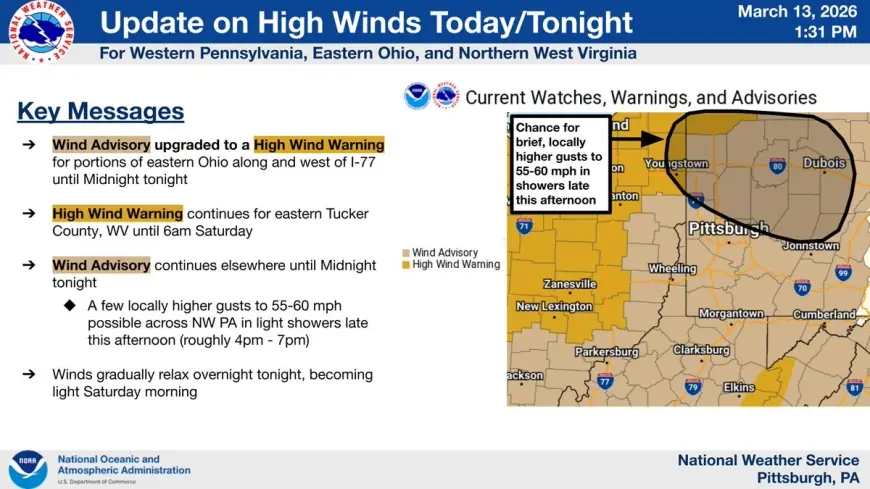 High Wind Warning Vs. High Wind Watch: What the Difference Means and When to Take Action