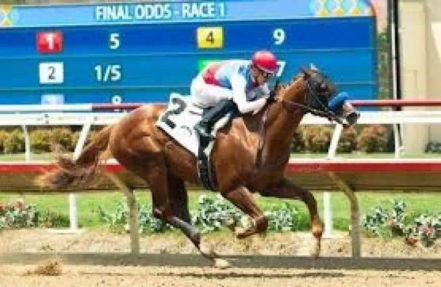 What Is The Triple Crown: Virginia Derby at Colonial Downs Sparks Kentucky Derby Points Race