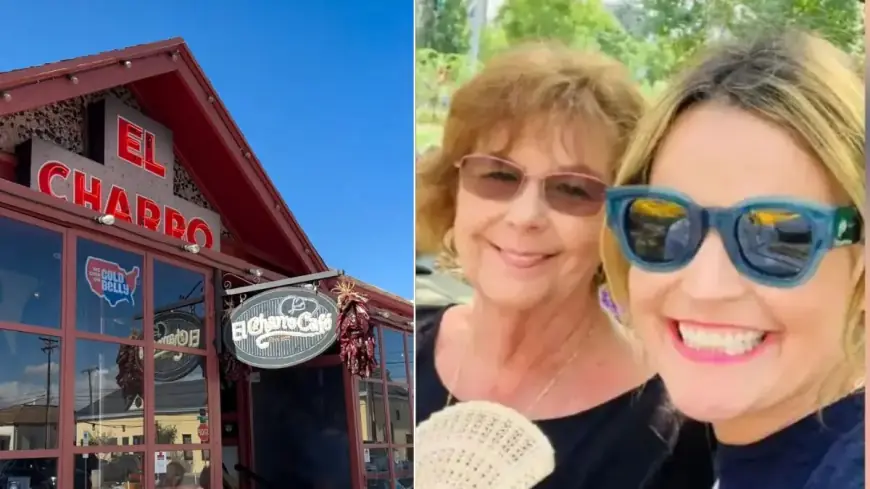 Nancy Guthrie Investigation Update: Day 42 Brings Forensic Breakthroughs and New FBI Leads