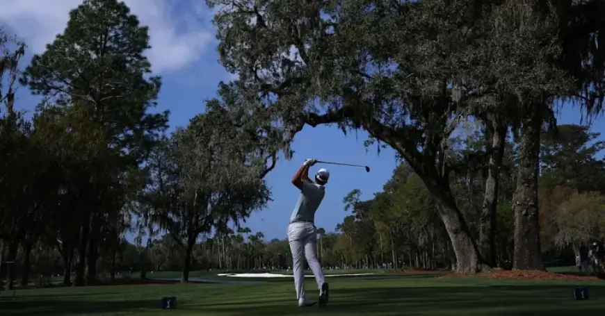 Pga Players Championship At TPC Sawgrass Leaves Ludvig Aberg In Command, McIlroy And Scheffler Scramble