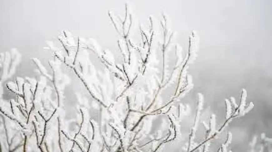 Ireland Weather Snow Sleet Warning In 11 Counties Triggers Hazardous Travel Risk