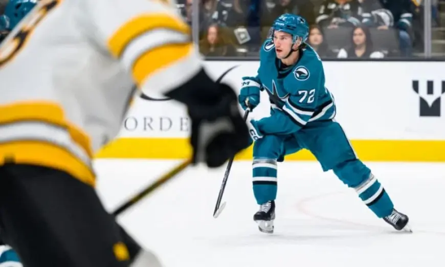 Will Smith Hockey Sparks Sharks Recall Of Igor Chernyshov Amid Goalie Shuffle