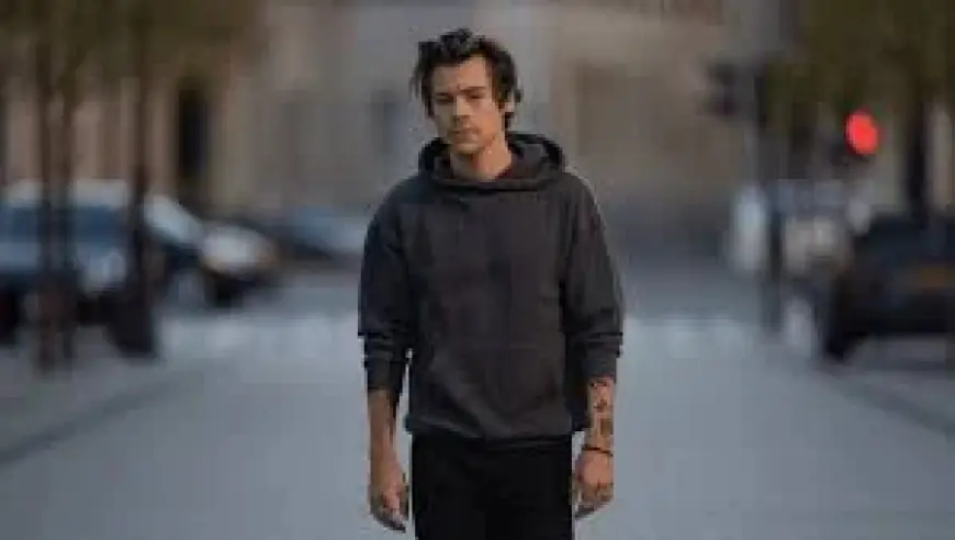 One Direction Rift After Payne’s Death In Argentina Sparks Distance Around Harry Styles