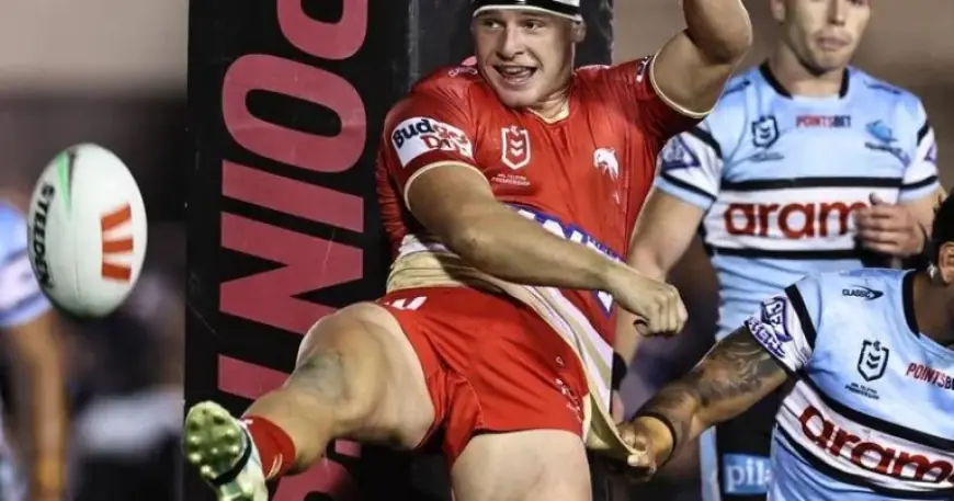 Dolphins Vs Titans: Mad Max And Raging Ray Back To Get Dolphins On Track