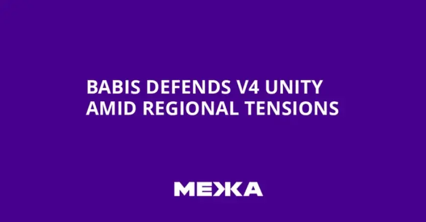 Lindblad: Babiš Defends V4 Unity in Berlin Sparks Concern Over Regional Cooperation