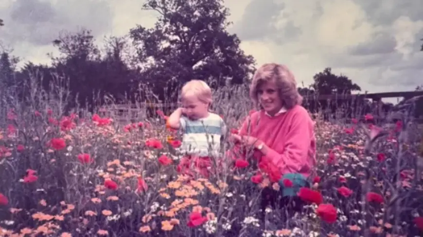 Mother’s Day Tribute From Prince William With Highgrove Diana Photo Prompts Online Reaction
