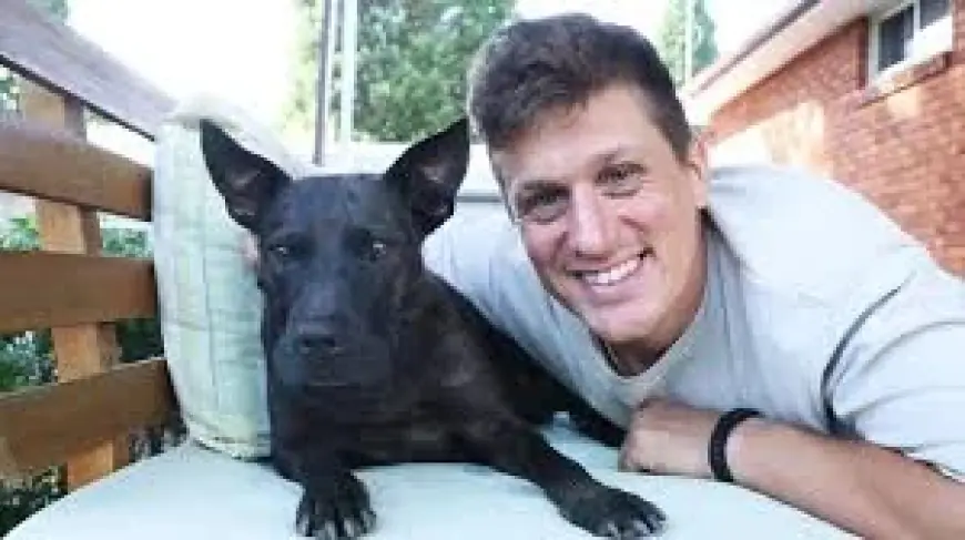 Dog Saved After Tech Boss Uses ChatGPT to Create a Cancer Vaccine, Reports Say