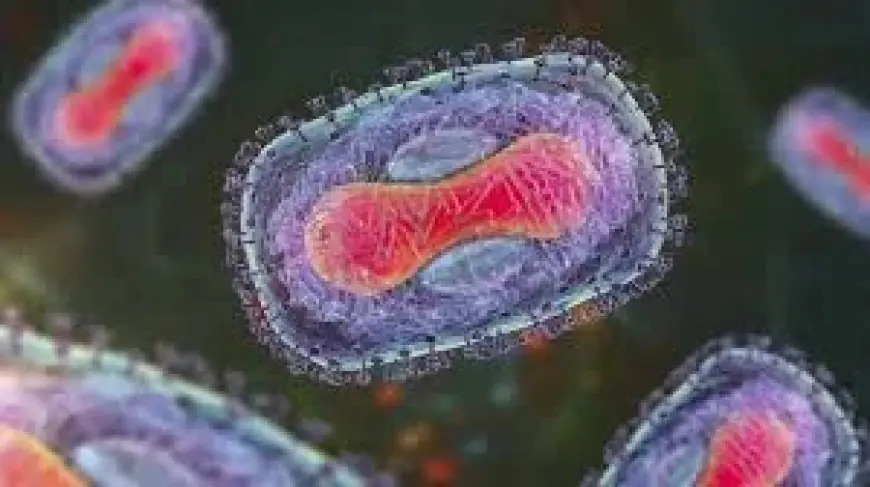 New York City Confirms First Case of Mpox Clade I, Issues Health Advisory