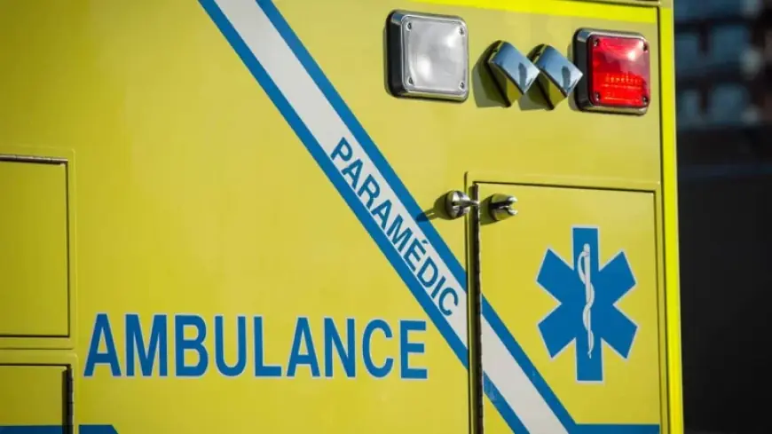 Accident Autoroute 20: Teen in Critical Condition After Single-Vehicle Crash