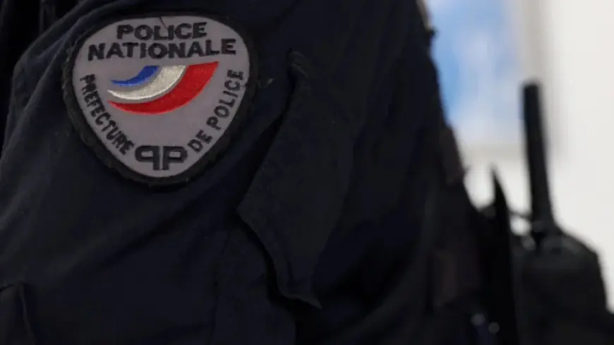 Rennes Vs Losc: Supporter Brawl Leaves One Injured Ahead Of 26th-Week Ligue 1 Clash