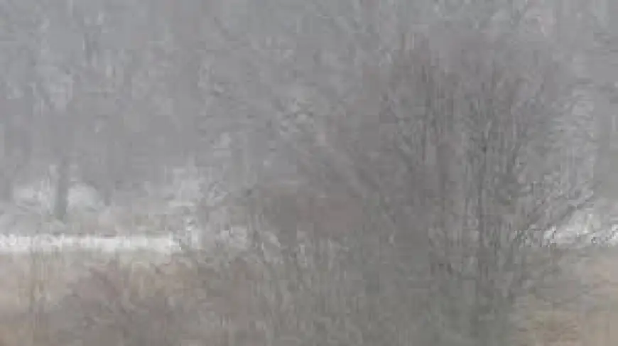 School Closings Wi: Madison District Shuts Monday as Winter Storm Spurs Wider Shutdowns