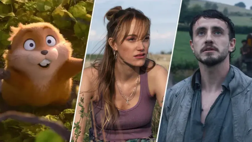 Reminders of Him Movie 2026: Everything You Need to Know About the New Colleen Hoover Film