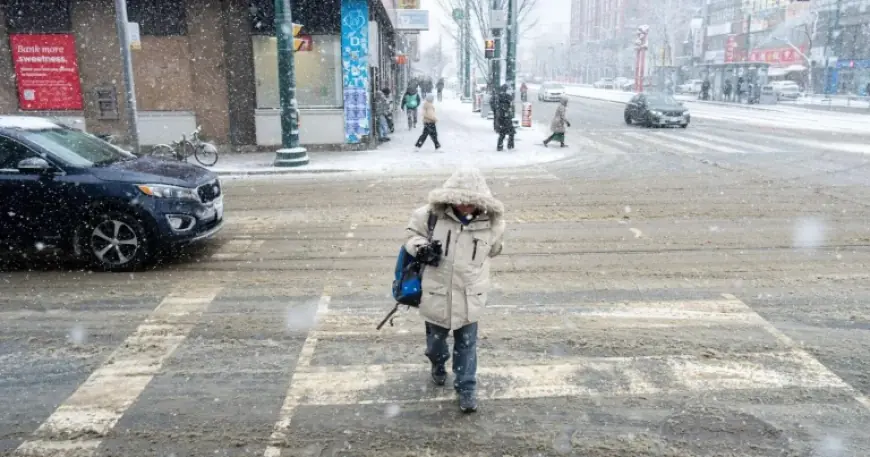 Snow Storm Weather Forecast: Toronto Braces For Snow, Freezing Rain And Strong Winds