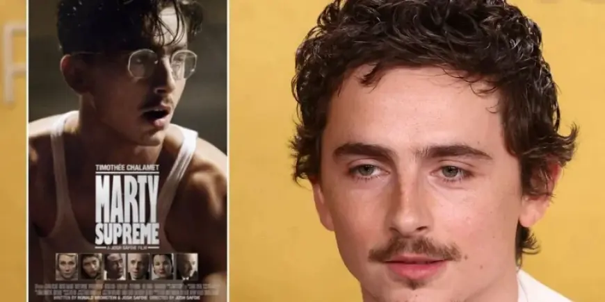 Timothee Chalamet Ballet Comment Triggers Backlash From Ballet and Opera Community