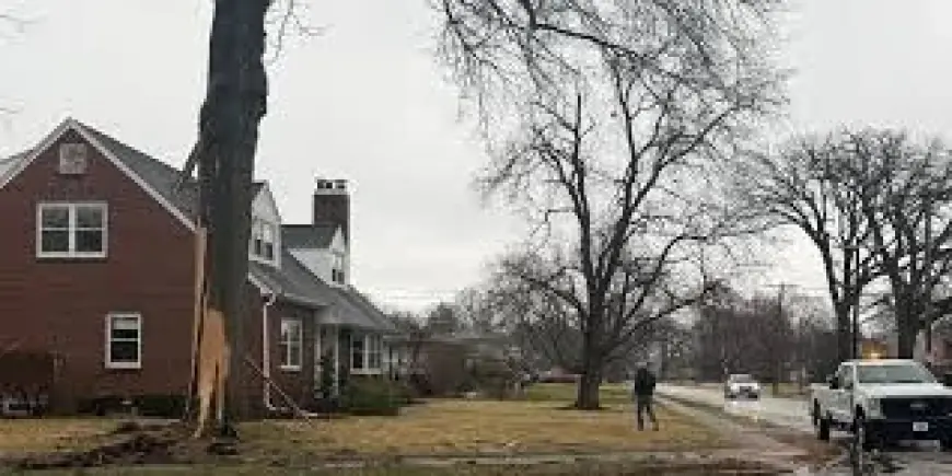 Kwqc: Davenport Homeowner Says Lightning Strike Blew Out Windows After Hitting Tree