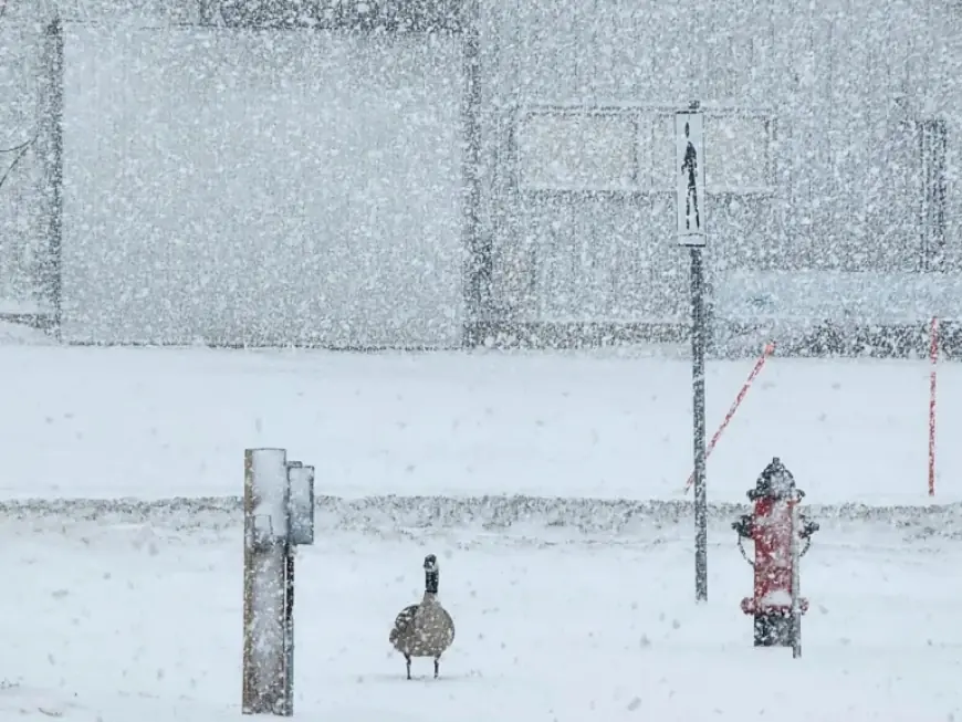 Weather Winnipeg: Alberta Clipper Leaves Southern Manitoba With Hazardous Friday Commute