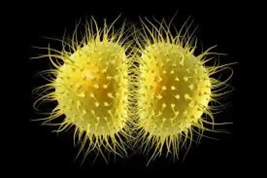 Kent Meningitis Outbreak in England Linked to University Leaves Two Dead and 11 Infected