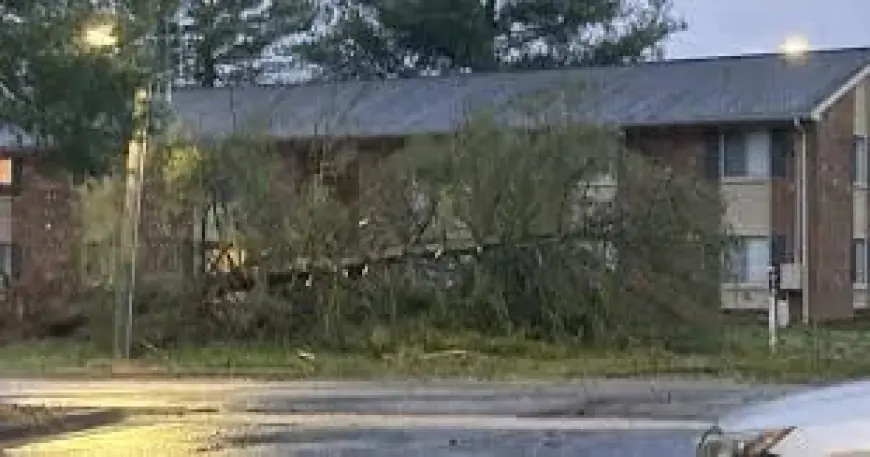 Power Outage Map in North Carolina Leaves Thousands Without Power After Severe Storms