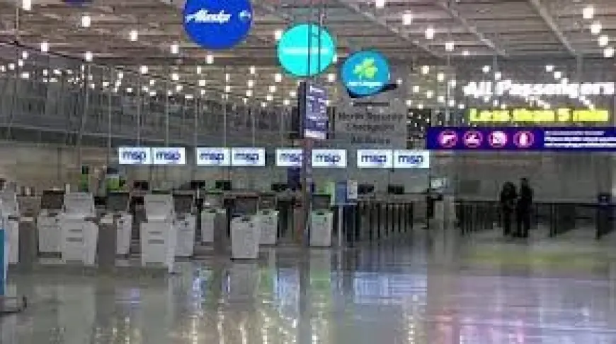 Delta Flight Status Checks as Minneapolis-St. Paul Airport Cancellations Turn Terminal Into ‘Ghost Town’